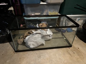 Aqueon 40 Breeder Glass Rectangle Aquarium Tank Only 40 gal 12 in Wide