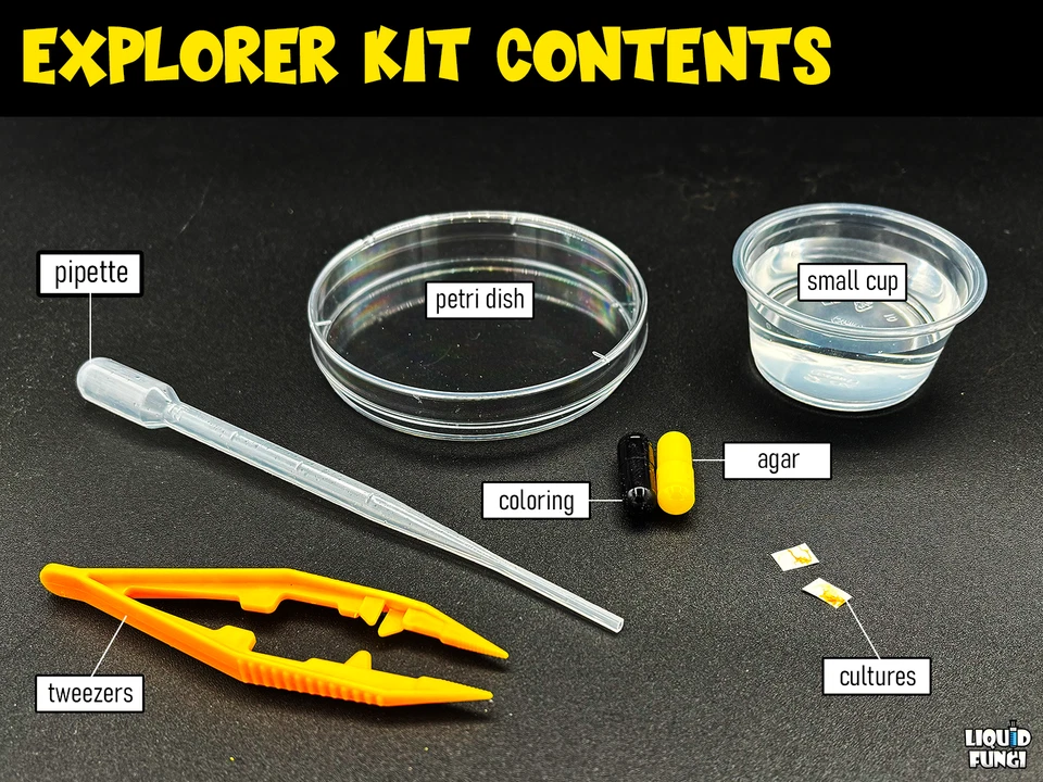 Kit de Ciencia Educativa Molde de Limo, Proyecto de Estudio Physarum polycephalum Foto 2 de 4