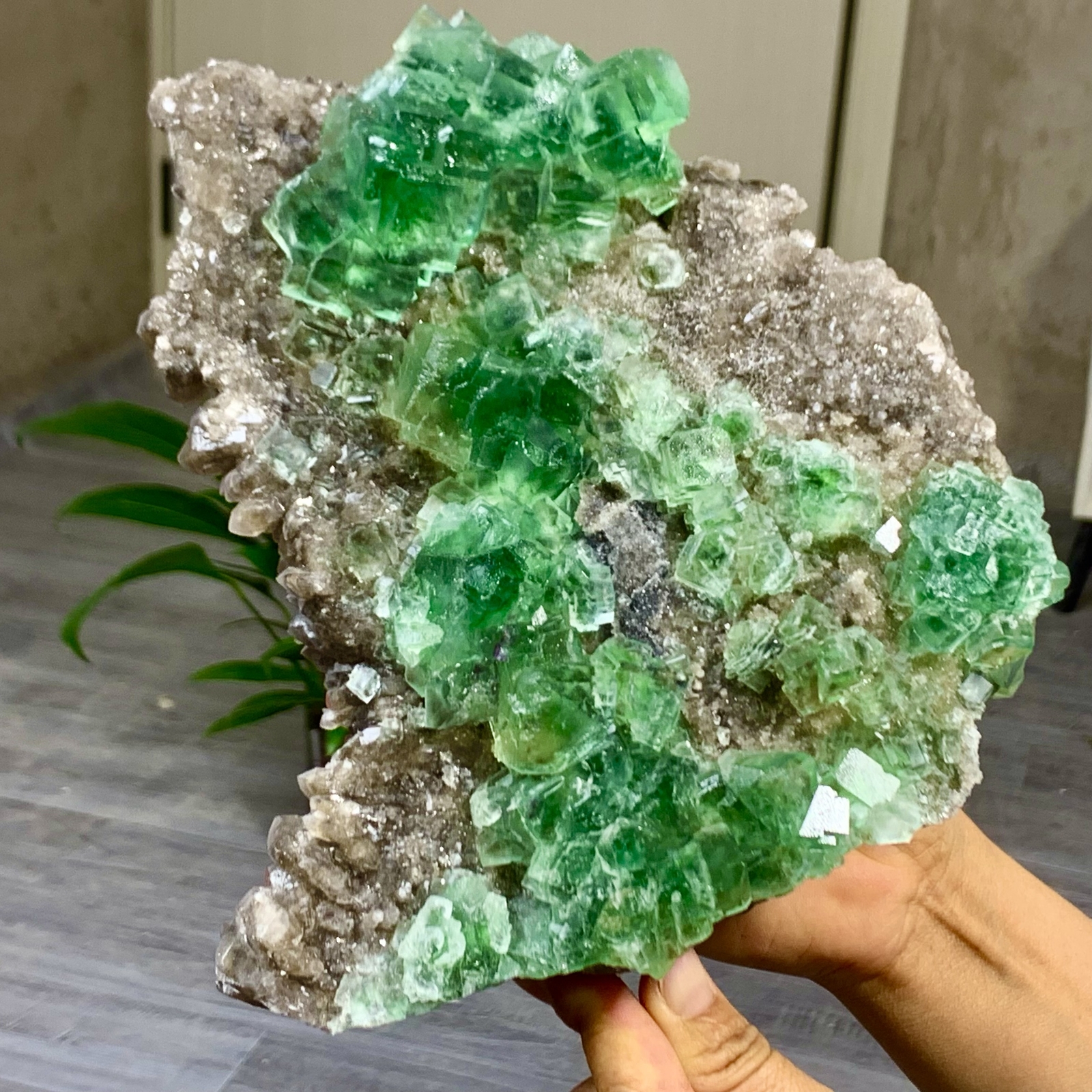 5.9LB Rare Transparent Green Cubic Fluorite Crystal Specimen from China