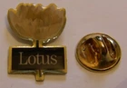 IBM LOTUS 1-2-3 OFFICE SOFTWARE BLOSSOM variant 1 vintage pin badge