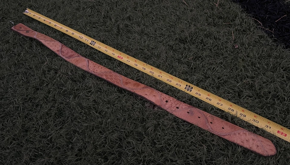 复古全新 NOS Western OSTRICH 1.5 英寸皮革皮带 30-32 英寸 Glam 牛仔美丽 — 第 3/4 张图片