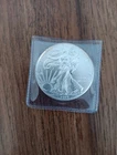 silver eagle 1 oz Random yr