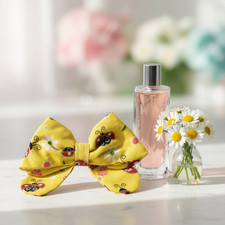 LadyBug Clip Hair Bow