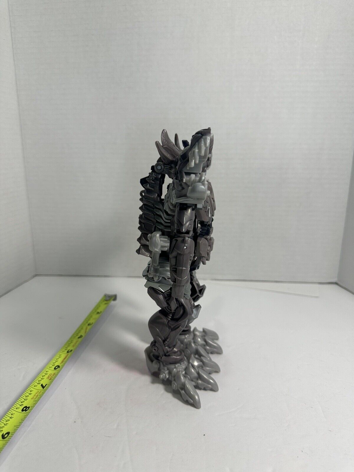 Picture 9 of 10