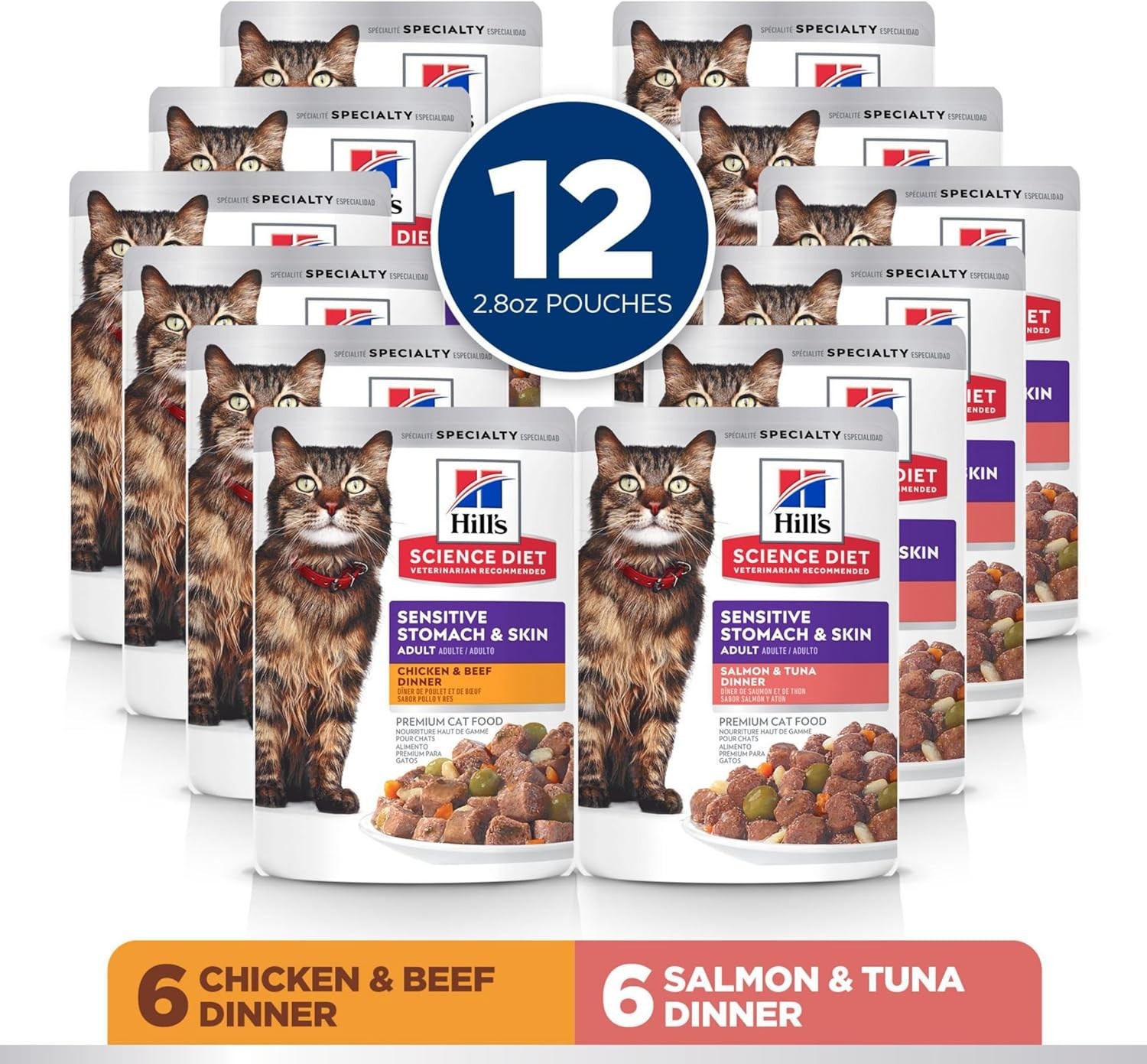 Chicken &beef Salmon&tuna Stew