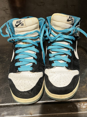Nike Dunk Pro SB High Send Help Size 7