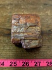 AZ Rainbow Petrified Wood, 1.43 Lbs, Jasperized, Polished Colorful Display! — photo 7