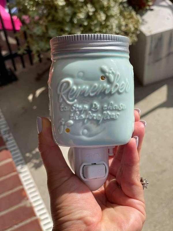 SCENTSY Chasing Fireflies Mini Wax Warmer Plug In Night Light Mason Jar Rustic