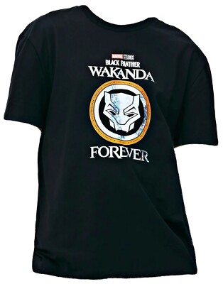 Review: ‘Black Panther: Wakanda Forever’ Is A Goodbye And A New Horizon