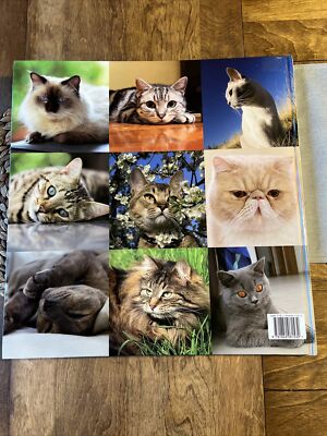 Cats Breeds:- OVERSIZE Book 18`*18 By Alice Buckland Cat Lovers Ed