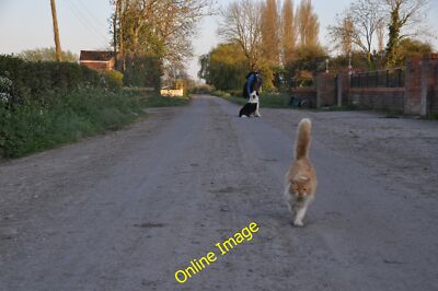 Foto 6x4 Sedgemoor: Bull Horn Drive Andersea A cat and a dog which can c2014