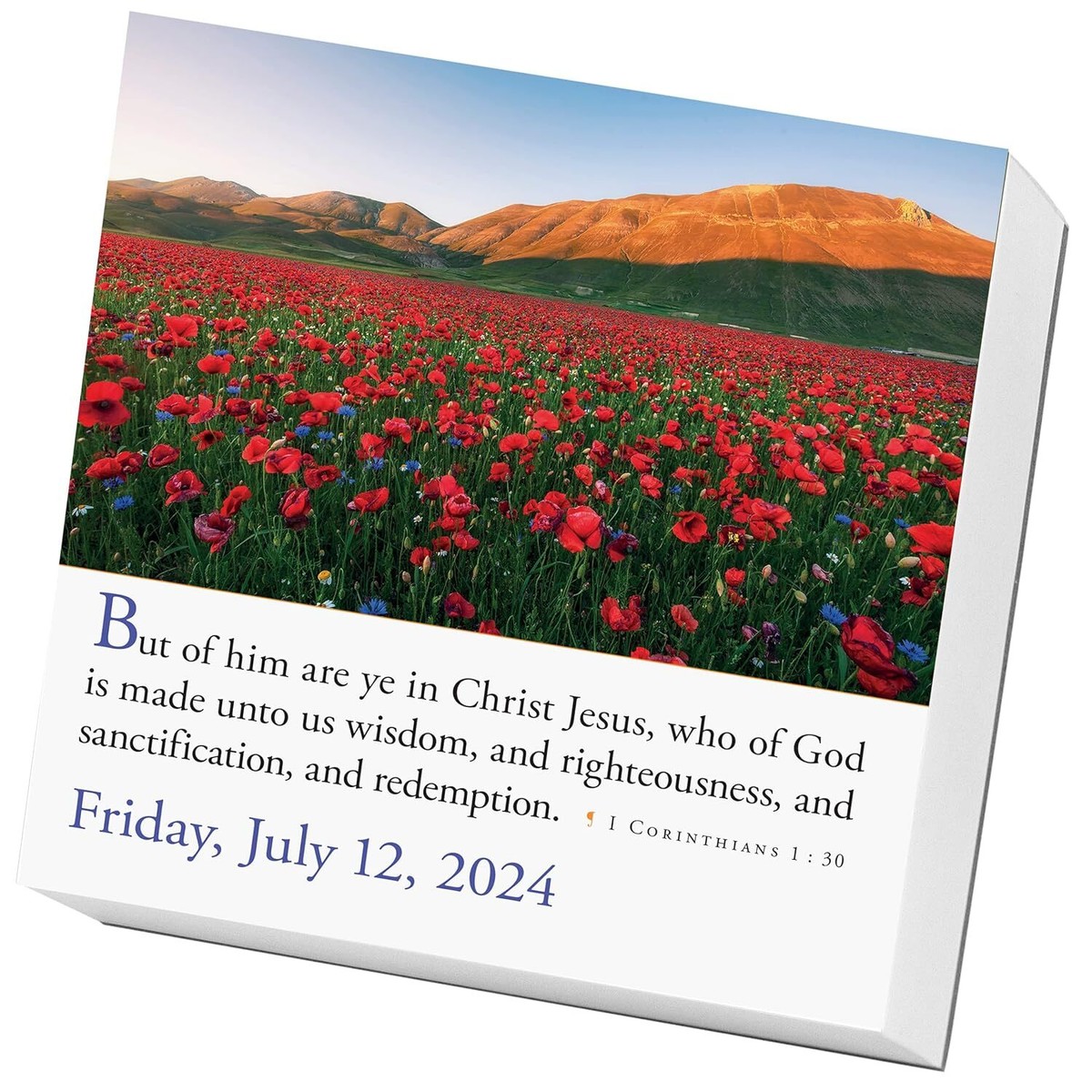 Workman Publishing, Bible Verses 2024 Desk Calendar 9781523519187 | eBay