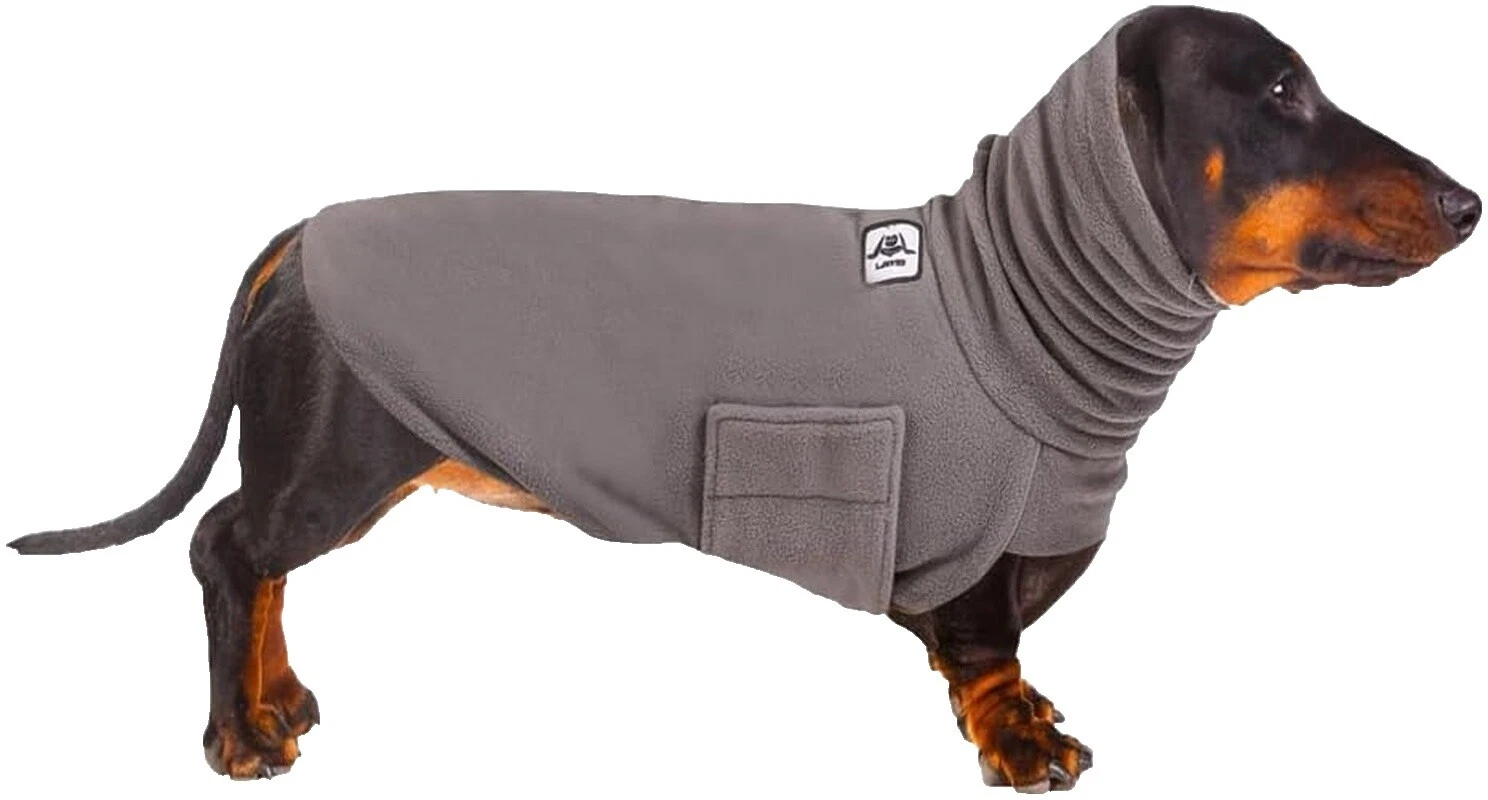 Dachshund Dog Clothing & Shoes