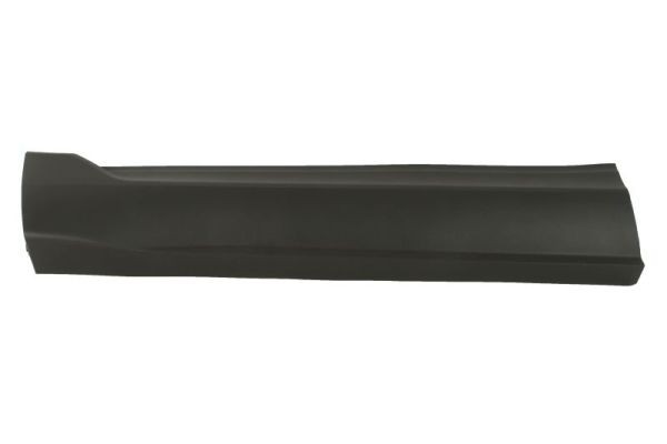 Left Front BLIC 5703-04-2598571P Trim/Protection Strip, door for FORD USA