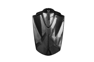 Capot de Selle Passager Carbone pour Triumph Speed Triple 1200 RS / RR 2021- - Photo 1/4