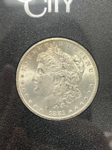 1881 CC Morgan Silver Dollar GSA HOARD Special Category "MIXED" Reject - 第 5/7 張圖片