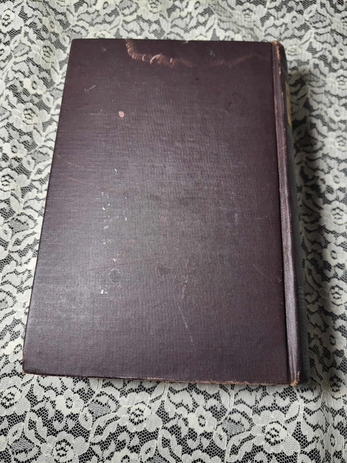 Picture 4 of 18