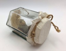 The Friend Catchers 1992 Freshly Caught Fairy Pixie Folk Collectable