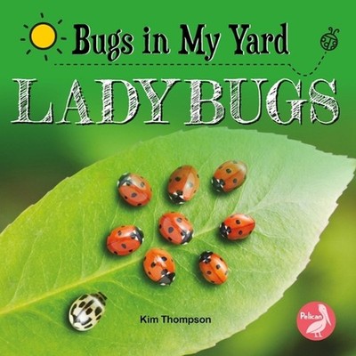 Ladybugs by Kim Thompson (English) Hardcover Book