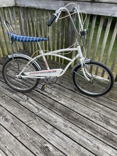 eBay Auction Picture