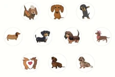 500 pcs Sticker Seals Roll Cute Cartoon Dachshund Semi Gloss Self Adhesive NEW