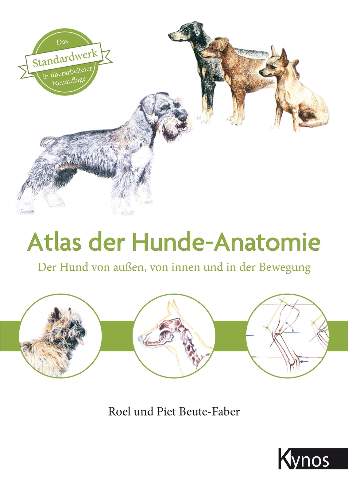 Thumbnail - Atlas Der Hundeanatomie | Roel Beute-faber (u. A.) | Buch | 179 S. |
