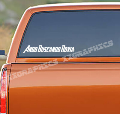 Ando Buscando Novia Decal Sticker Busco Novia Gordita Tengo Toxica 