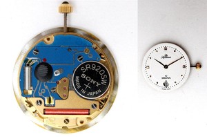 delma les supremes watch