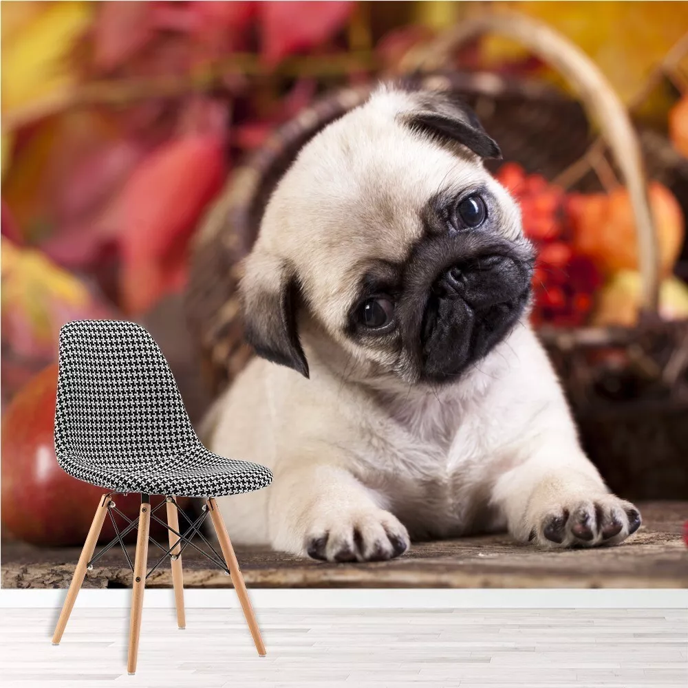 Pug hotsell trading post
