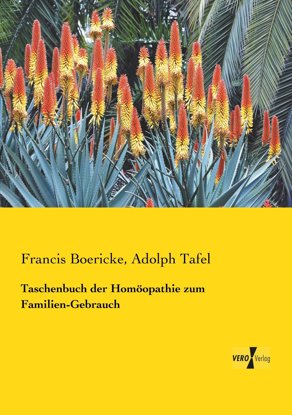 Taschenbuch Der Homöopathie Zum Familien-gebrauch Francis Boericke (u.