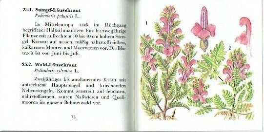 Bild 2 von 2