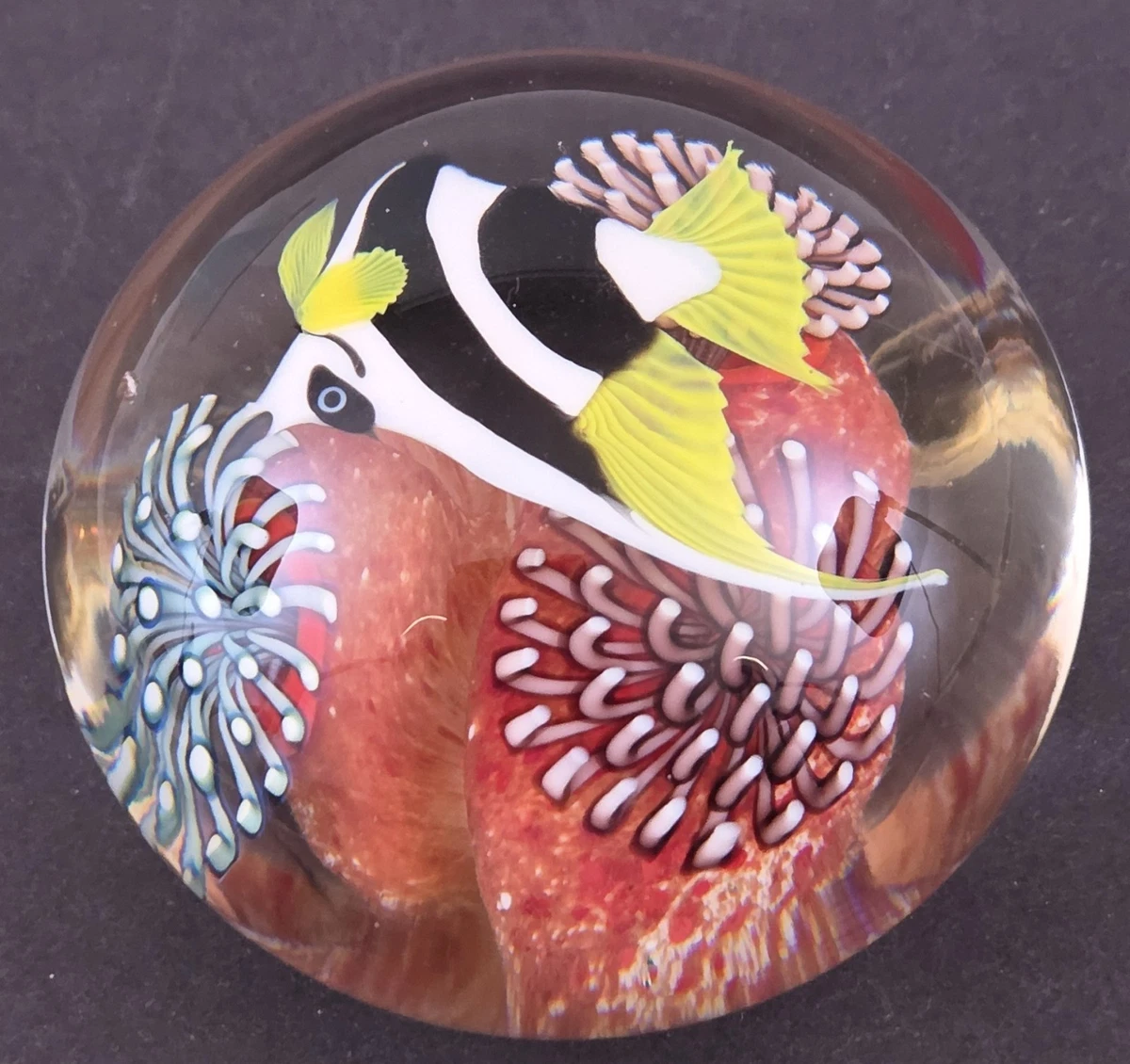 Orient Flume Glass Paperweights products for sale | eBay