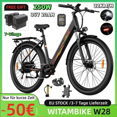 29 Zoll City E-Bike 250W 720Wh Herren Elektrofahrrad 7-Gänge Fahrrad EBike 120km