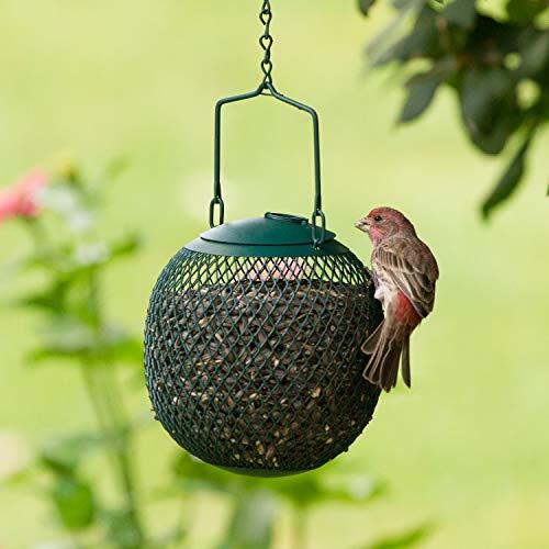 Bird Feeder Hanging Metal Peanut and Seed Feeders Set for Outside Garden Coffee