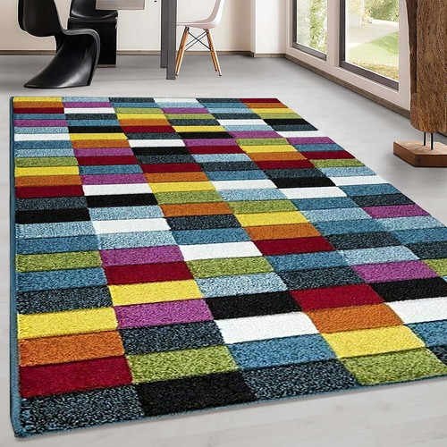 Stylish Modern Rugs Multi Soft Large Area Rug Living Room Floor Bedroom