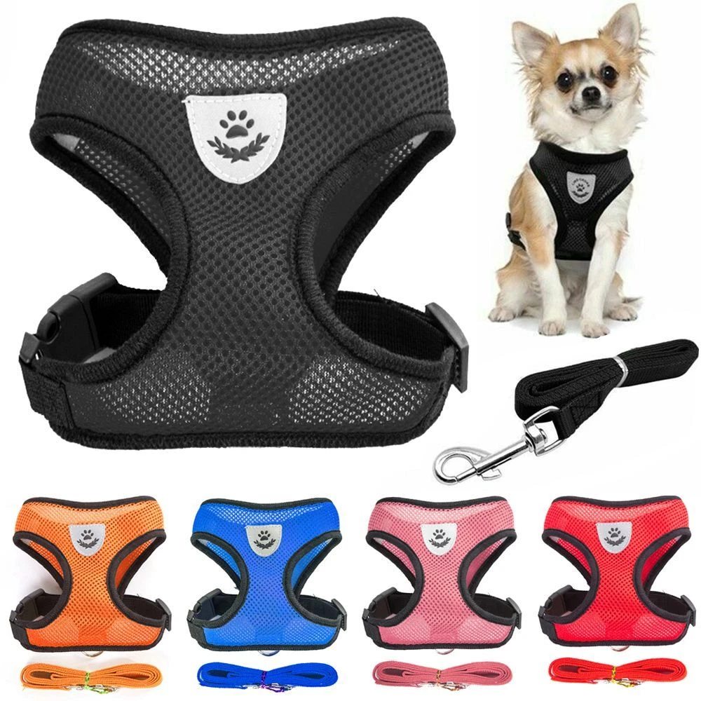 Pug hotsell puppy harness