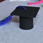 Picture 3 of 12