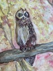 Original watercolor painting Owl landscape art trees 8 x 10 Signed Haughty Owl — photo 2