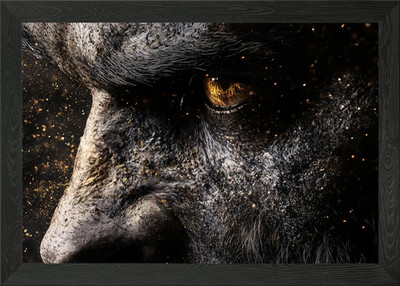 Werwolf Nahaufnahme gerahmtes Wandbild Poster Leinwanddruck Bild