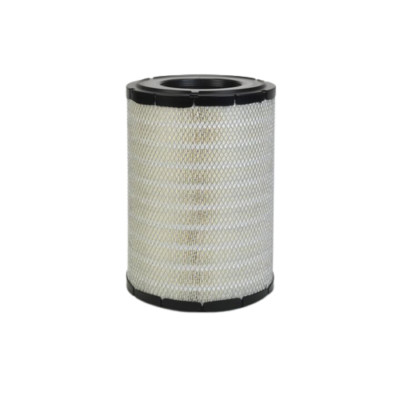 Luftfilter Donaldson P532503 Hengst E808L Mann C2810452 Baldwin RS3506