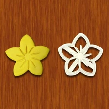 Frangipani Plumeria Flower Cookie Cutter - 3.75x3.5"
