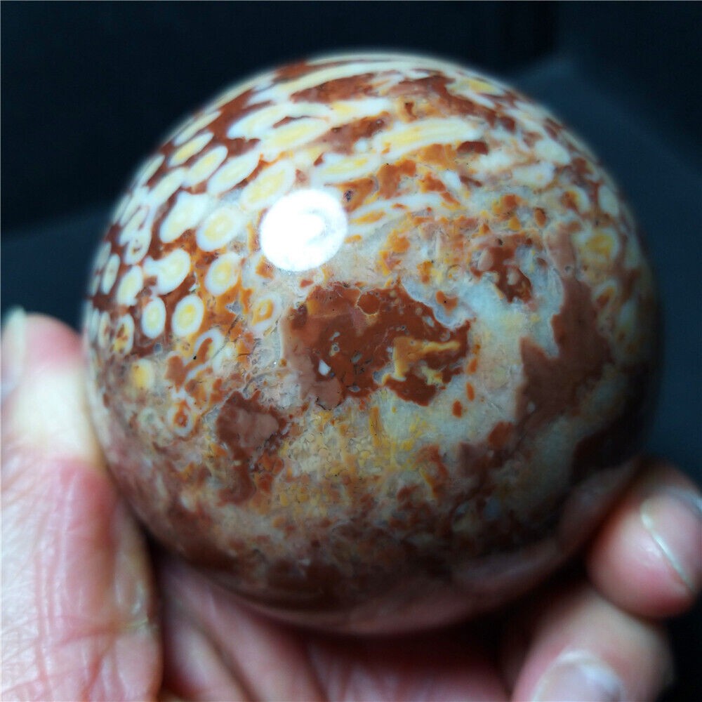 Rare 443.6G Natural Polished Coral Jade Agate Crystal Sphere Ball Healing  CB316