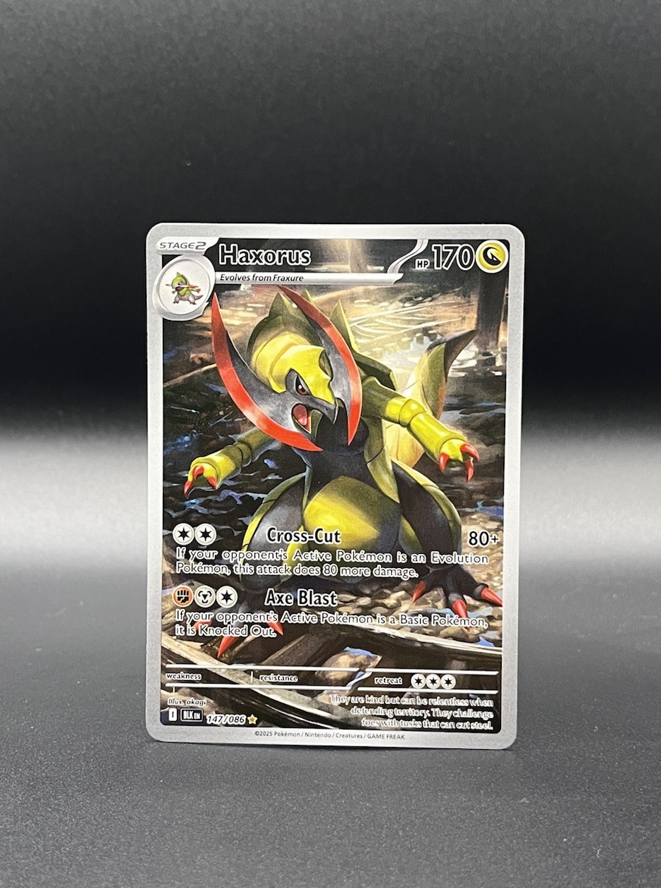 Haxorus 147/086 Illustration Rare Black Bolt Pokemon TCG NM