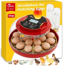 18 Egg Incubator with Automatic Turning and Humidity Control, 18 Egg-Red 
