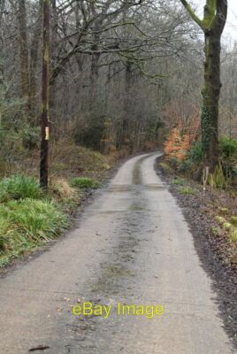 Foto 6x4 Gleis in Flottenholz Etchingham um 2021