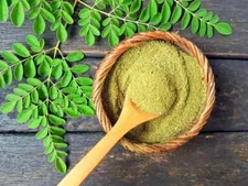 Moringa Extract powder Moringa Olifera 25% Protien free Shipping 5000 Gram