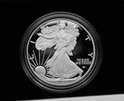 2025-W Proof American Silver Eagle Box & COA