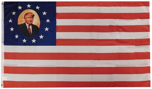 3X5 DONALD J Trump 2024 Mugshot Drapeau Bannière 100D EUR 12,26 - Foto 13