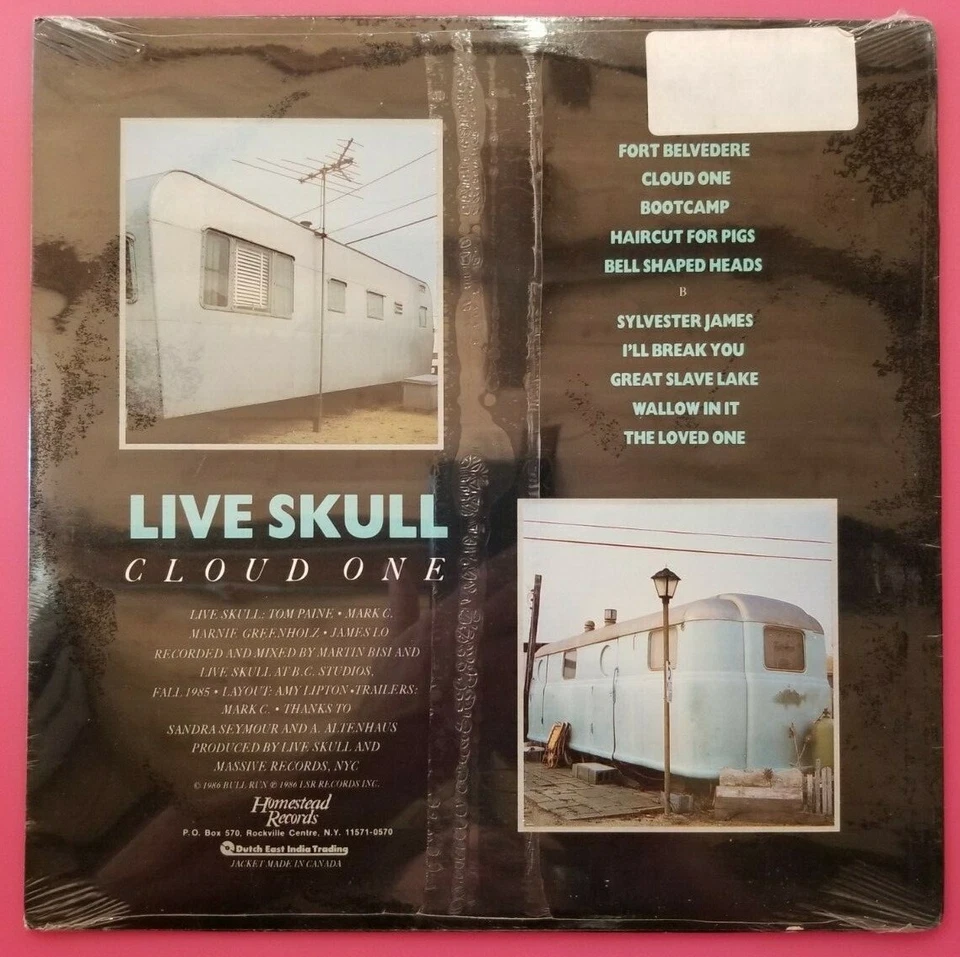 Live Skull ‎– Cloud One - Vinyl LP - Indie Rock, Post-Punk - SEALED Brooklyn NYC - Image 2 of 2