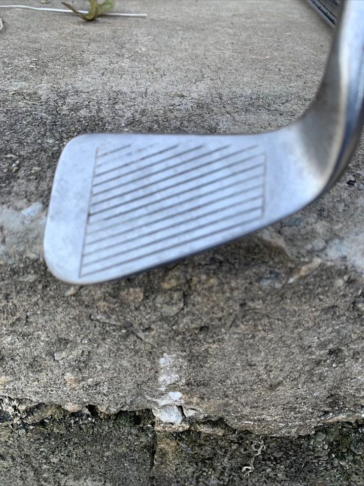 Arnold Palmer The Axiom 4 Hierro Rígido Flex Varilla Grafito Gamuza Avon Grip Foto 3 de 4